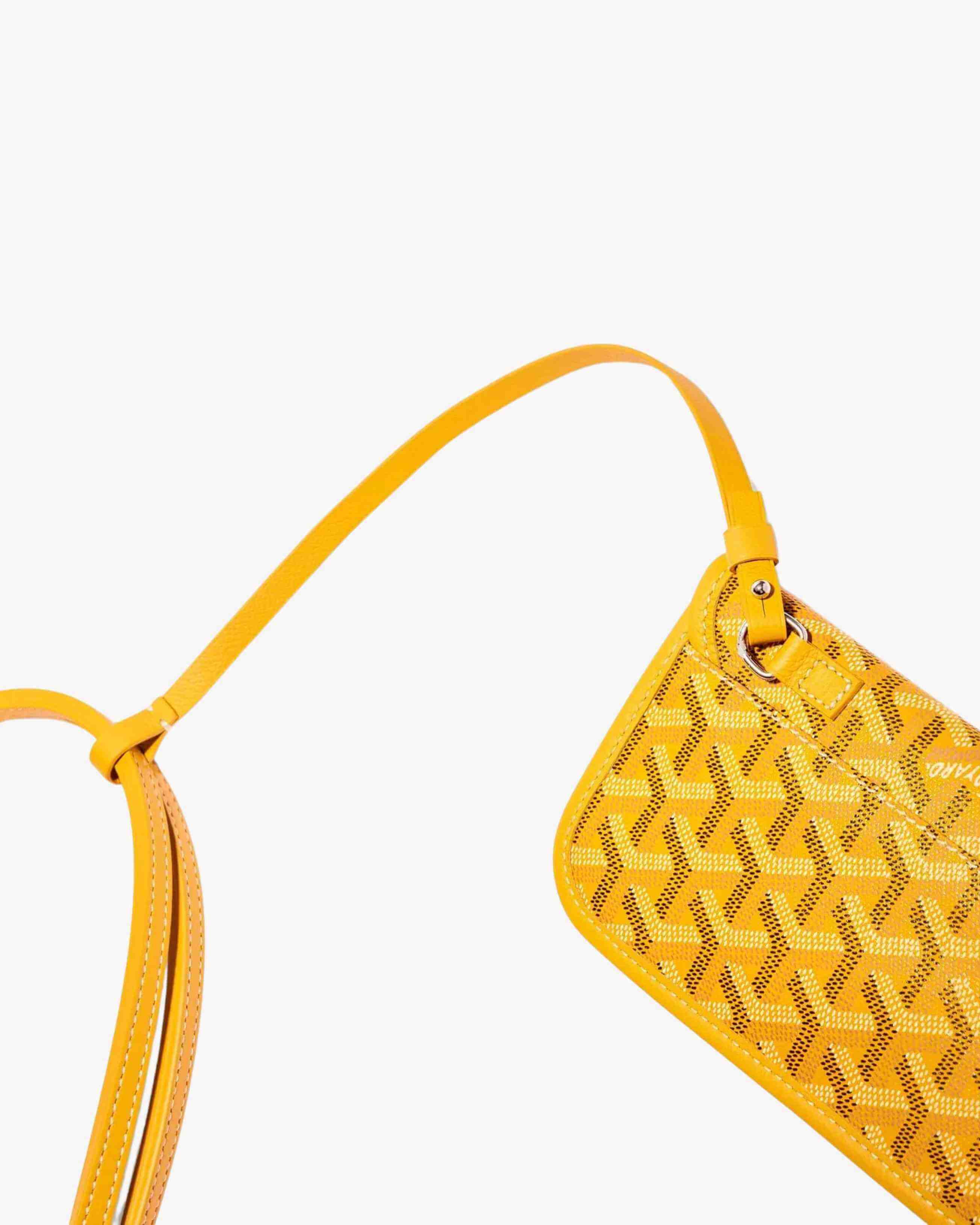 Goyard Saint Louis PM Bag